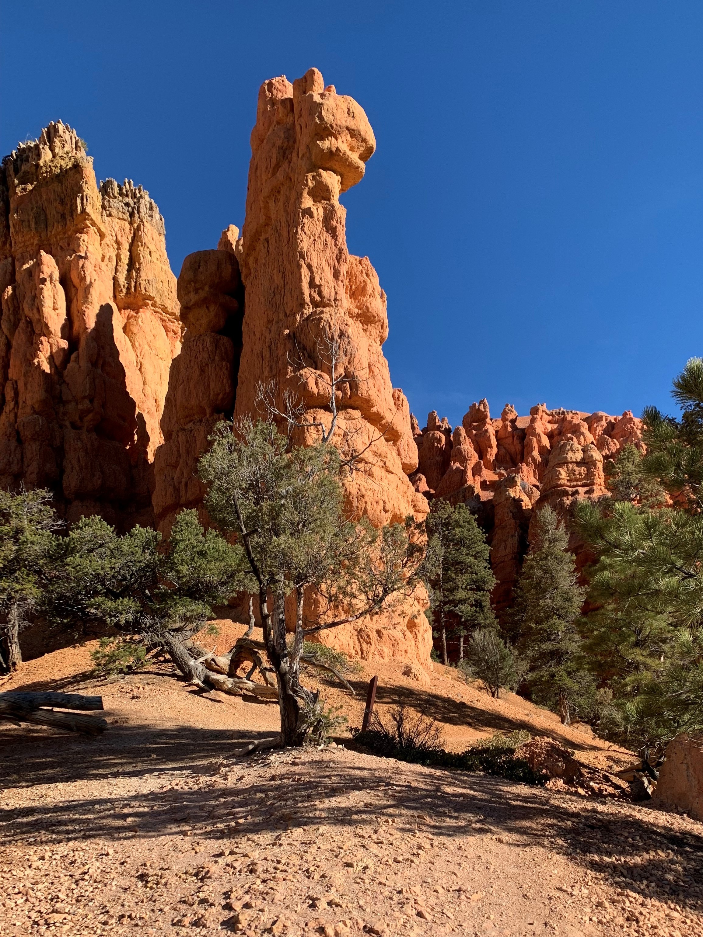 Red Canyon